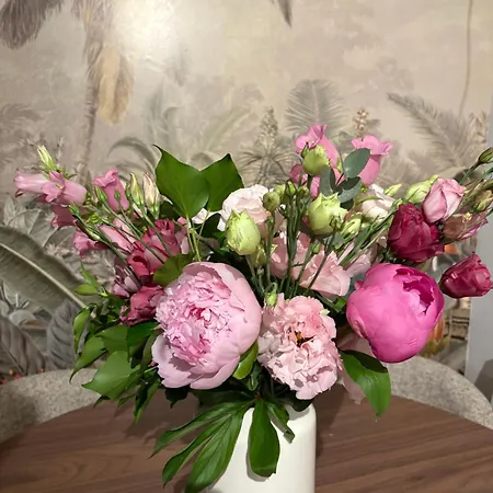 Apartamento T2 - Jardin, Piscine, Parking Entre & Cannes *